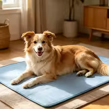KEMORELA 2026 Ice Cool Upgrade Dog Cooling Mat Summer Pet Cold Bed Extra Large For Small Big Dogs Pad Breathable Pet Cold Bed